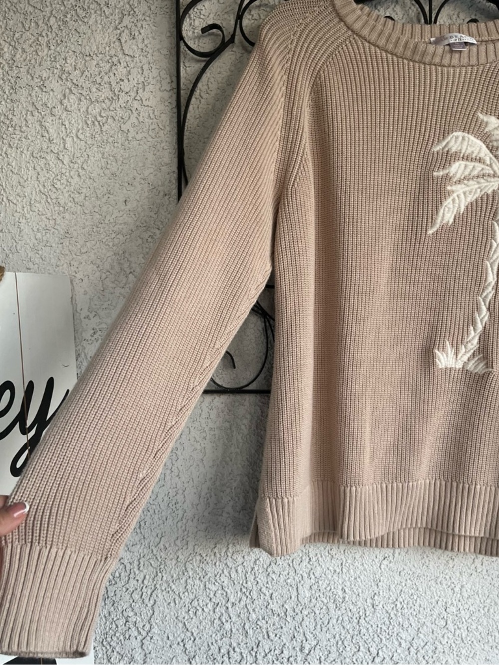 Belle by Kim Gravel Beige Crewneck Sweater with Palm Embroidery - Picture 4 of 7